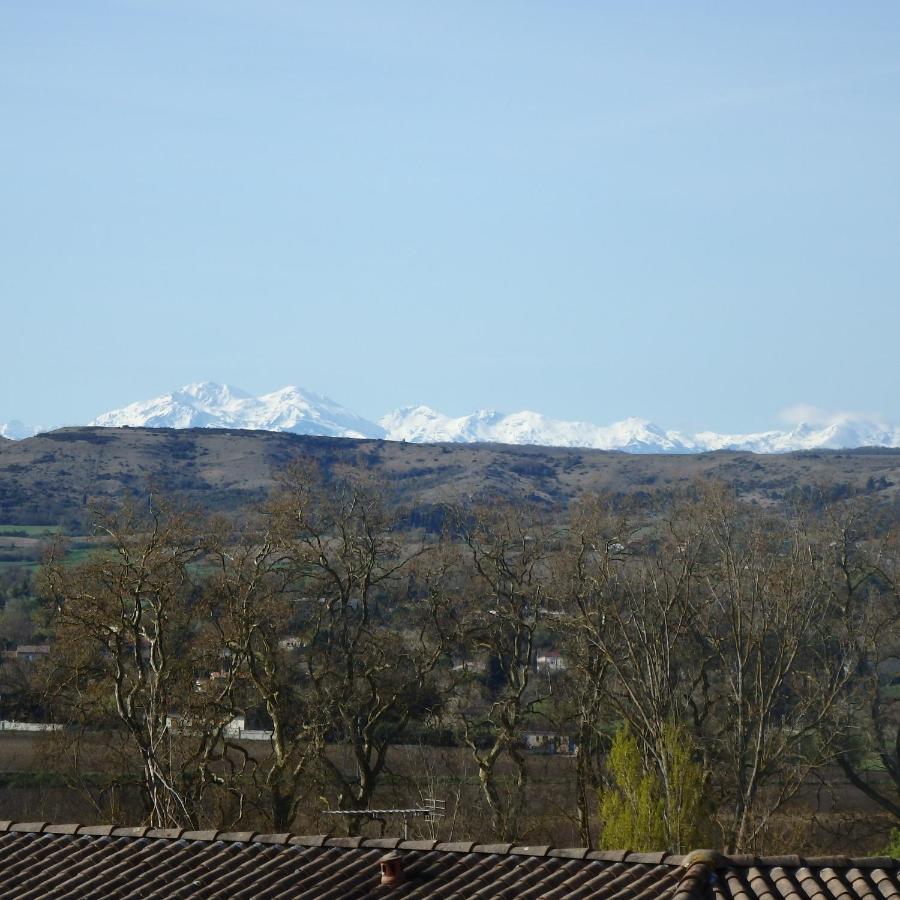 L'Oustal Des Fontanilles Bed and Breakfast Castelnaudary Exterior foto